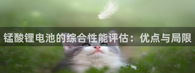 okpay钱包最新版本：锰酸锂电池的综合性能评估：优点与局限