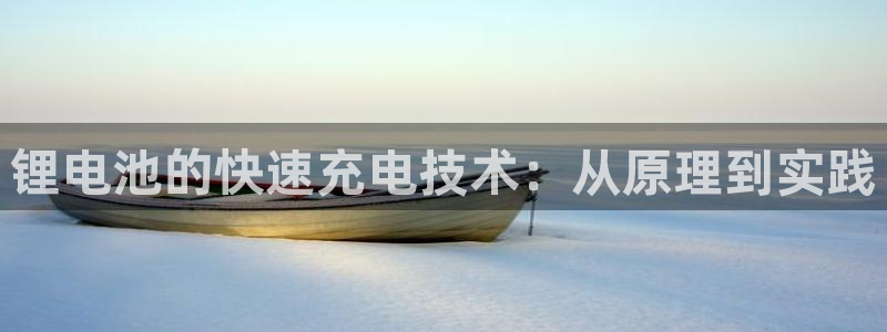 okpay钱包苹果版：锂电池的快速充电技术：从原理到实践