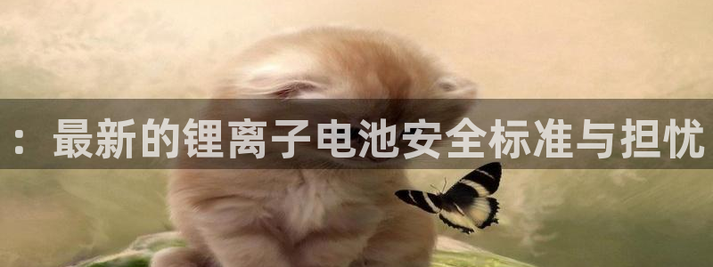 okpay钱包最新版安装方法：：最新的锂离子电池安全标准与担忧