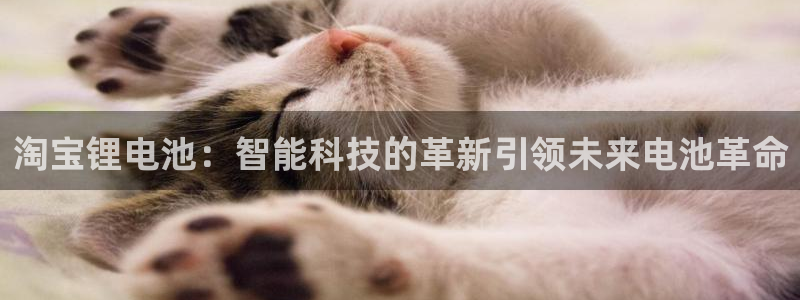 okpay钱包安卓下载：淘宝锂电池：智能科技的革新引领未来电池革命