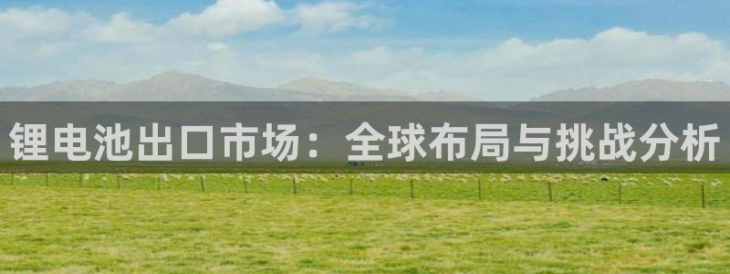 okpay钱包支付：锂电池出口市场：全球布局与挑战分析