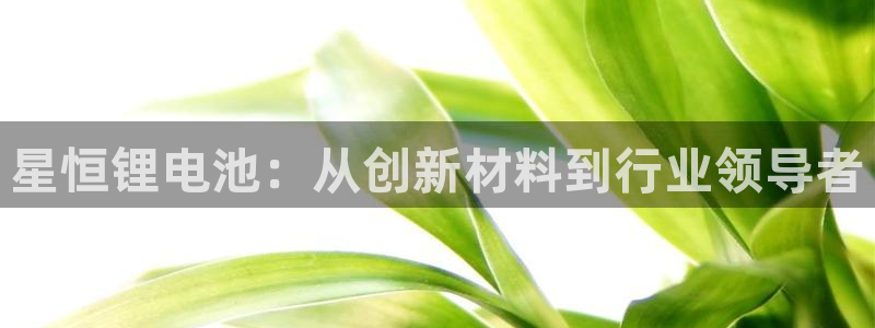 okpay钱包在中国合法吗：星恒锂电池：从创新材料到行业领导者