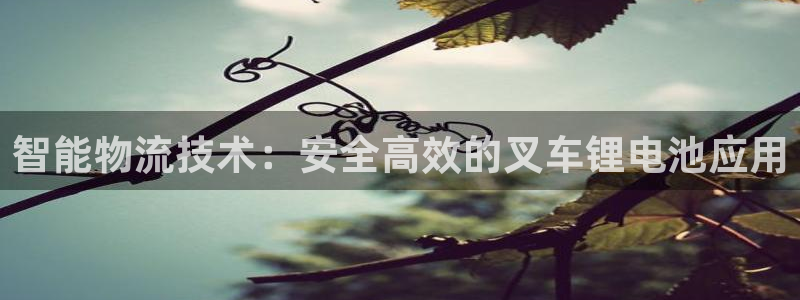 okpay钱包app下载官网2023：智能物流技术：安全高效的叉车锂电池应用