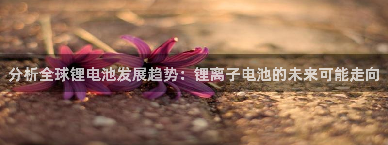 okpay钱包app下载安卓：分析全球锂电池发展趋势：锂离子电池的未来可能走向