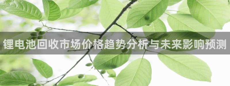 okpay钱包地址是什么：锂电池回收市场价格趋势分析与未来影响预测