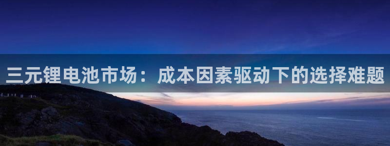 okpay钱包最新版本：三元锂电池市场：成本因素驱动下的选择难题