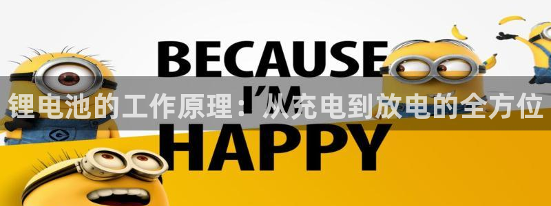 okpay支付钱包官网：锂电池的工作原理：从充电到放电的全方位