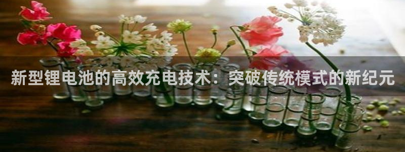 okpay钱包安卓官网下载：新型锂电池的高效充电技术：突破传统模式的新纪元