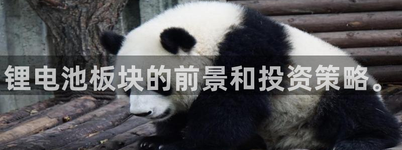 okpay钱包的方法：锂电池板块的前景和投资策略。