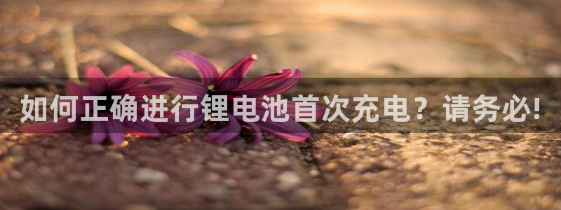 okpay钱包app下载官网2023：如何正确进行锂电池首次充电？请务必!