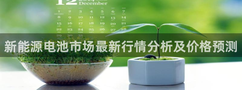 okpay钱包实名认证有风险吗：新能源电池市场最新行情分析及价格预测