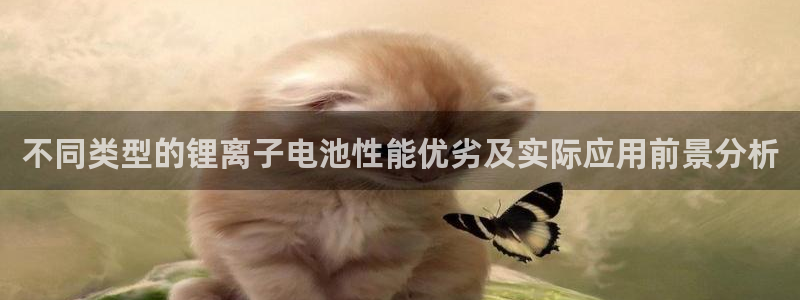 okpay钱包下载方式：不同类型的锂离子