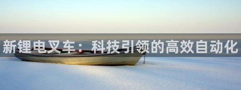 okpay钱包合法吗：新锂电叉车：科技引