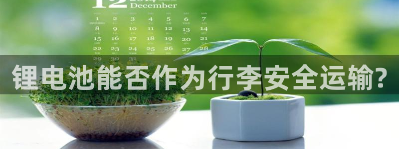 okpay钱包实名认证有风险吗：锂电池能否作为行李安全运输?