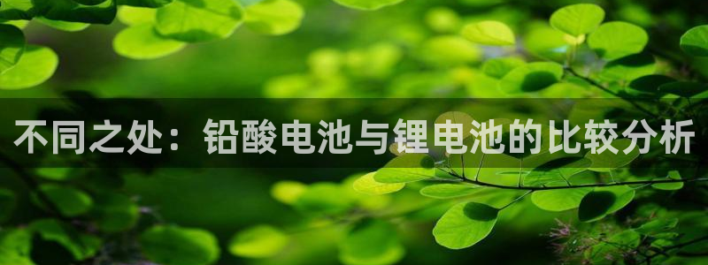 钱包okpay：不同之处：铅酸电池与锂电池的比较分析