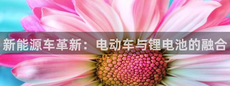 okpay钱包怎么样：新能源车革新：电动车与锂电池的融合
