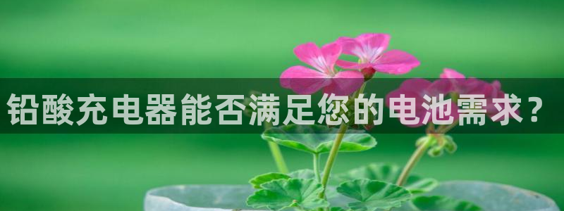okpay钱包手机版：铅酸充电器能否满足您的电池需求？