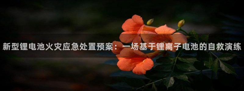 okpay钱包的钱怎么取出来：新型锂电池