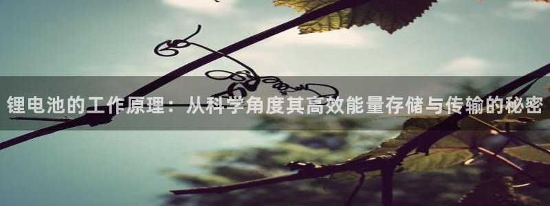 okpay钱包客服怎么联系：锂电池的工作原理：从科学角度其高效能量存储与传输的秘密