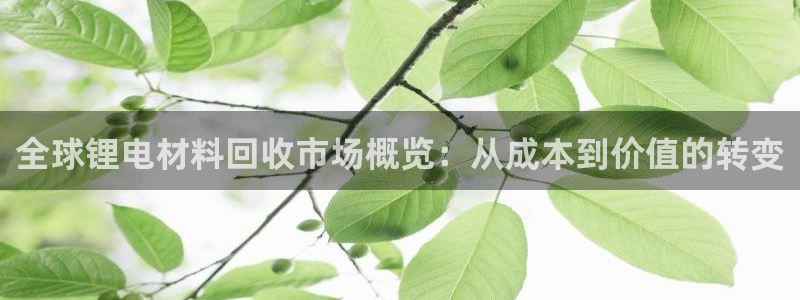 okpay钱包怎么下载：全球锂电材料回收市场概览：从成本到价值的转变