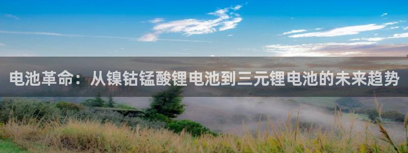okpay支付钱包下载最新：电池革命：从镍钴锰酸锂电池到三元锂电池的未来趋势