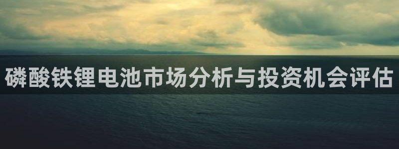 okpay钱包地址是什么：磷酸铁锂电池市场分析与投资机会评估