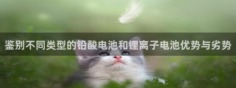 okpay数字钱包：鉴别不同类型的铅酸电池和锂离子电池优势与劣势