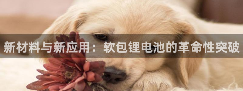 okpay钱包官网入口：新材料与新应用：软包锂电池的革命性突破