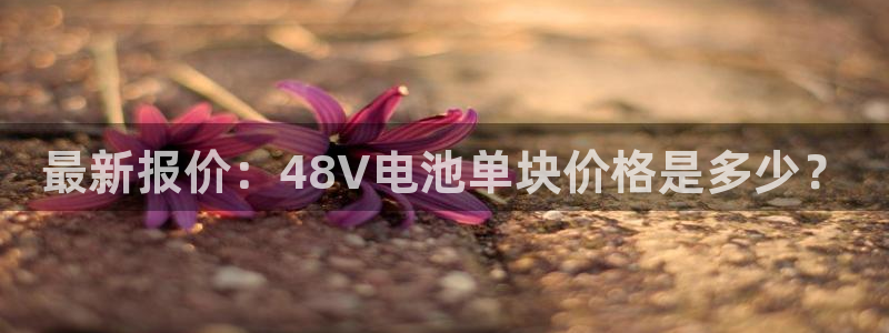 okpay钱包app官网：最新报价：48V电池单块价格是多少？